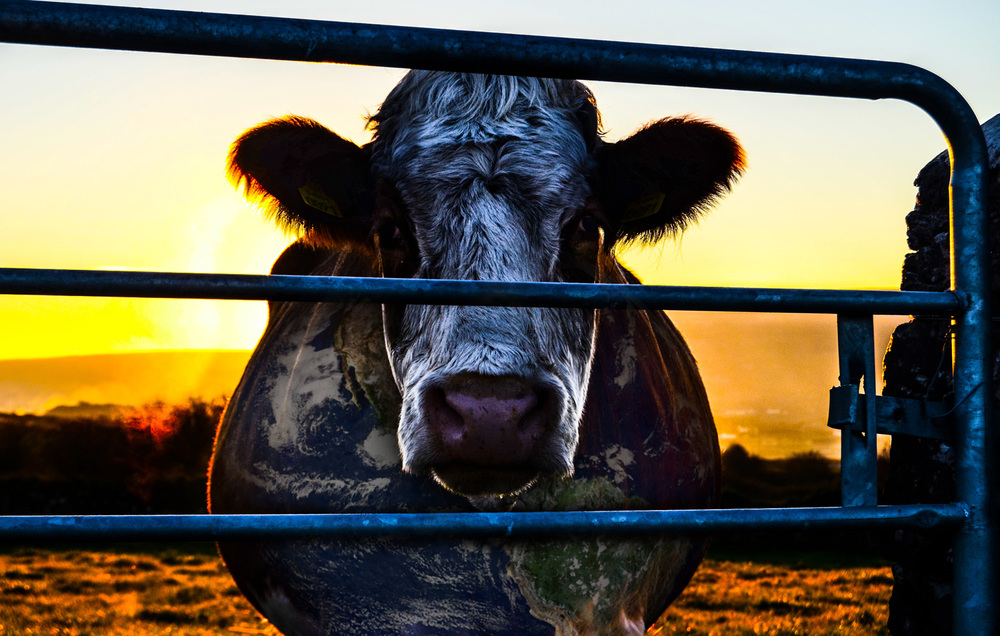 Cowspiracy - Vegan ist gut für die Umwelt