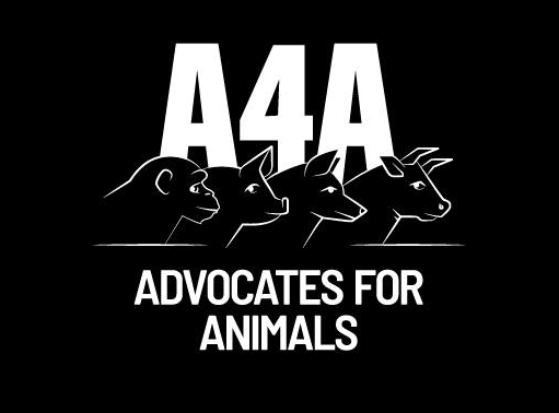 ADVOCATES FOR ANIMALS Logo